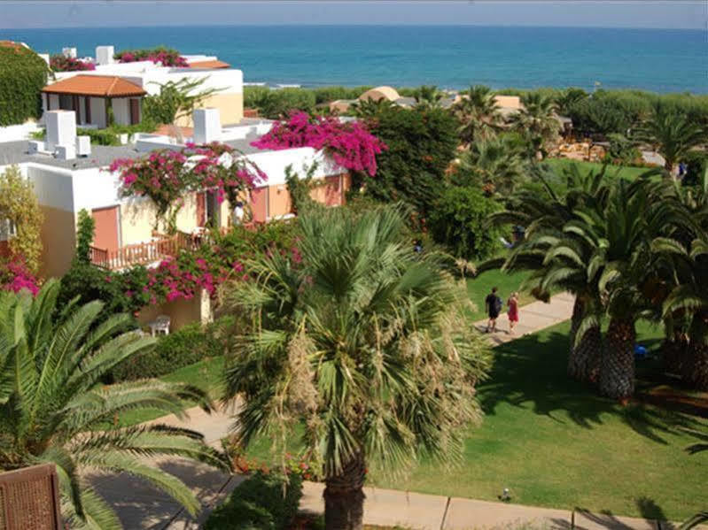 Oasis Beach Hotel - Adults Only Anissaras Dış mekan fotoğraf