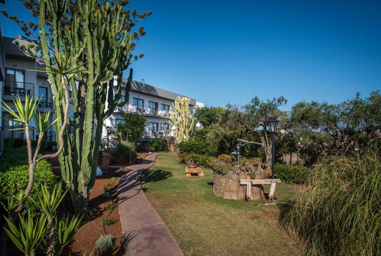 Oasis Beach Hotel - Adults Only Anissaras Dış mekan fotoğraf